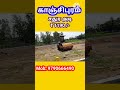 plot for sale in kanchipuram land for sale in kanchipuram shorts shortsfeed