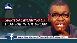 Spiritual Meaning of Dead Rat in the Dream