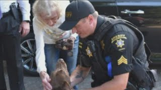 Forsyth County K-9 reunites with missing elderly woman he helped locate