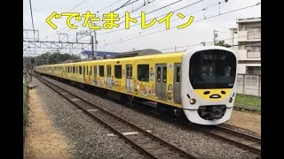 ぐでたまスマイルトレインを秋津駅で撮影