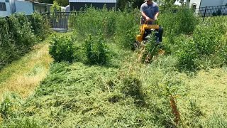 Random Homeowner Needed His OVERGROWN YARD MOWED, I Couldn't Believe How Tall The Grass Was