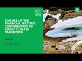 Scaling up the Financial Sector's Contribution to EMDEs' Climate Transition l IFC at COP29