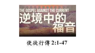 20250112  (台語) 『逆境中的福音』使徒行傳 2   林淑美牧師  Sunday Service in Taiwanese