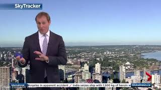 Weather anchor surprised by spider