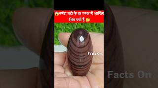 😱 नर्मदा नदी के हर पत्थर में आखिर शिव क्यों है 🤔 #facts #youtubeshorts #shorts #trending #viral #yt