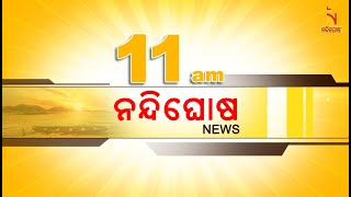 🔴 Live | Nandighosha News@11am | Nandighosha TV | Odisha