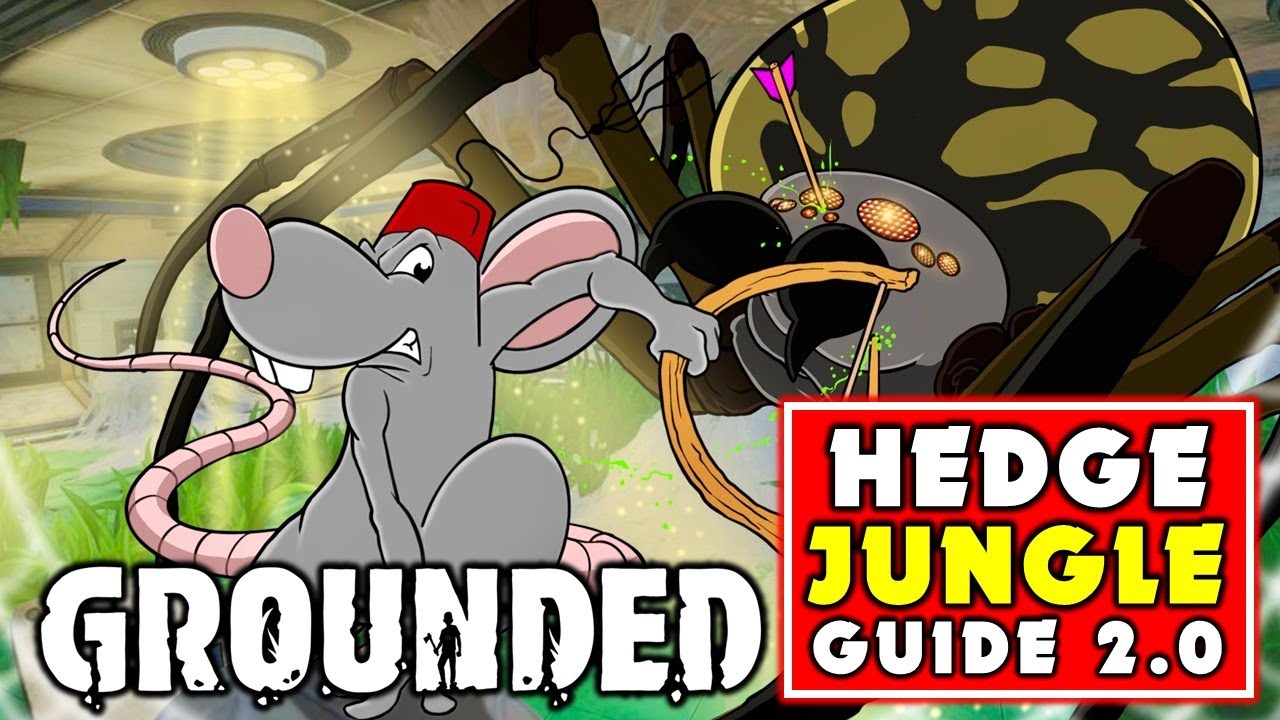 Jungle Temple Part 4 Burg L Chip Grounded