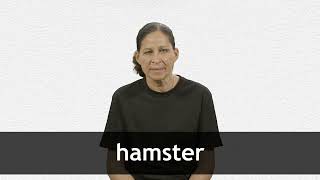 How to pronounce HAMSTER in French