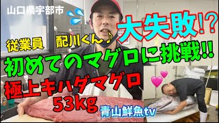 【53kgキハダマグロ】【実食】【キハダマグロの捌き】初めて捌く特大マグロ‼️大失敗⁉︎💦