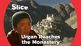 9-year-old Boy’s Initiation at Thikse Monastery | SLICE