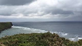 funausagibanata フナウサギバナタ(伊良部島／宮古）　Irabu, Miyakojima, Okinawa