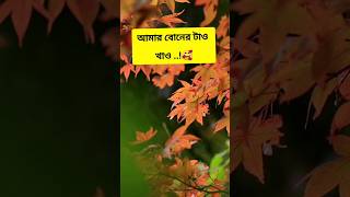 বৌদি আর বৌদির বন খেলা হবে #shorts #trending #youtubeshorts #shortvideo #love