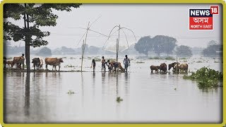 Assam Flood | News Of The Hour | 21st July, 2019