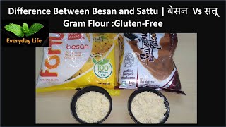 Difference Between Besan and Sattu | बेसन  Vs सत्तू  | Gluten-Free |  Everyday Life #149