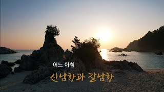 [힐링 삼척] 삼척 신남항과 갈남항에서의 특별한 아침