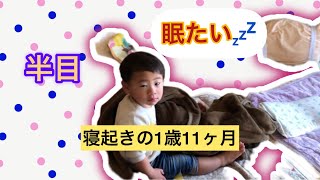 寝起きの1歳11ヶ月