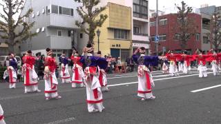 ほにや（よさこい東海道2013）前日祭③