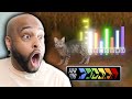 How Cats Broke The Game ( @TierZoo ) | Reaction