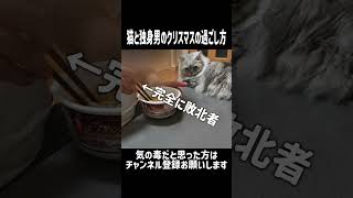 猫と過ごすクリスマス#shorts #猫 #ねこ #猫のいる暮らし