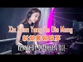 Xin Yuan Yang Hu Die Meng - 新鴛鴦蝴蝶夢 OST Justice Bao (Electro Manyao) By Dj Brian Bie #dj抖音版2024