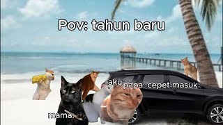 Pov: tahun baru (3) | Special Edition | Meme Kucing | #pov #meme #kucing #cat