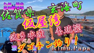 ＃第93章九州筏会黒釣愚連鯛【佐賀県玄海町☆仮屋湾☆波多水産☆河豚養殖筏☆ダゴチン釣り】今回は初めてのフィールド波多水産河豚の養殖筏に行って来ました(^^)やっぱり、仮屋湾厳しー(*_*)￼