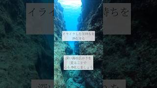 イライラした気持ちを浄化する✖︎シンギングボウル（倍音/睡眠/瞑想/倍音浴/ヒーリングミュージック/リラクゼーション)