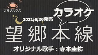 望郷本線(カラオケ)オリジナル歌手：寺本圭佑