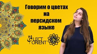 Говорим о цветах на персидском языке || Персидский с Викой Пурхекмат