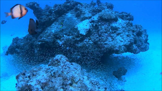 伊平屋島 アザハタの家 2017.05