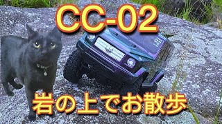 タミヤ CC-02 メルセデス・ベンツ Ｇ５００ ロッククローラー 走行動画