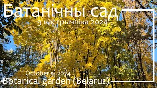 Батанічны сад у кастрычніку / Botanical Garden in October (SUB)