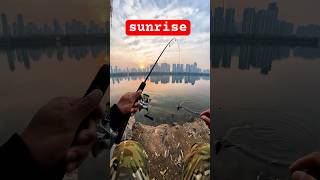 Fishing's Most Relaxing Moments Caught on Camera!