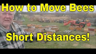 How to Move Bees Short Distances-That Bee Man