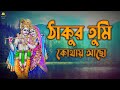 কৃষ্ণ ভজন | ঠাকুর তুমি কোথায় আছো | Thakur Tumi Kothay Acho| Ayitri Sarkar | Krishna Bhajan