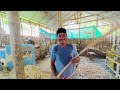 ধুপত ব্যৱহাৰ কৰা বাঁহৰ stick round bamboo stick industry assamese vlog