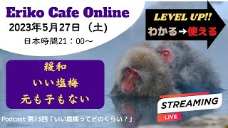 Eriko Cafe Online 「Podcast 第73回　いい塩梅ってどのくらい？」で使った言葉を使って会話しましょう！Advanced Japanese Lesson/conversation