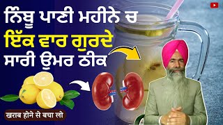 किडनी साफ करने का तरीका |  Kidney ki safai kaise kare | Detox Kidney And Body in 2 Days | Punjabi