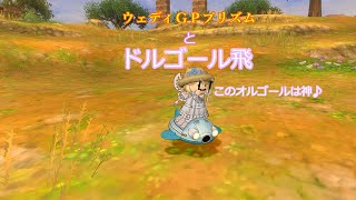 【ドラクエ10】 ウェディＧＰプリズムとドルゴール飛