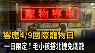 響應4/9國際寵物日　一日限定！毛小孩搭北捷免關籠－民視新聞