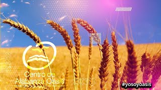 UN CORAZÓN DESUBICADO - PASTOR FERNEY PÁEZ - EN VIVO