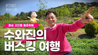 [수와진의 버스킹 여행] 화순 고인돌 봄꽃축제 (24.4.25)