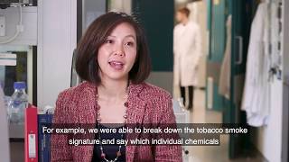 Mutations Caused by Environmental Agents/ Cell 177/4