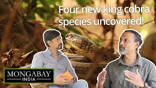 Behind the discovery of four kings | In conversation with Gowri Shankar