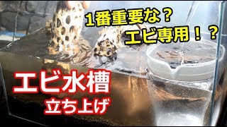 水換え不要？エビ水槽立ち上げ！エビ専用？のソイルを使って！