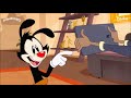 Animaniacs (2020) - Official Short Trailer