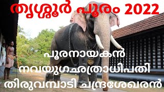 THRISSUR POORAM 2022 HERO ELEPHANT THIRUVAMBADI CHANDRASEKARAN തിരുവമ്പാടിയുടെ പൂരനായകൻ 🐘💞