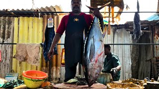 35KG BIG YELLOW FIN TUNA FISH CUTTING BY SPEED SELVAM | HD VIDEO | IN KASIMEDU | CUTTING FOCUS 🔪