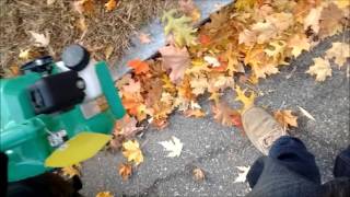 hitachi leaf blower test and action