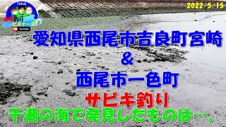 【愛知県西尾市吉良町宮崎＆一色町】で釣り